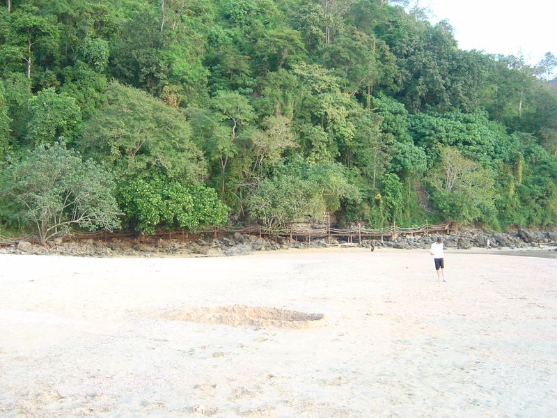 DSC00873.JPG
