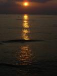DSC00884.JPG