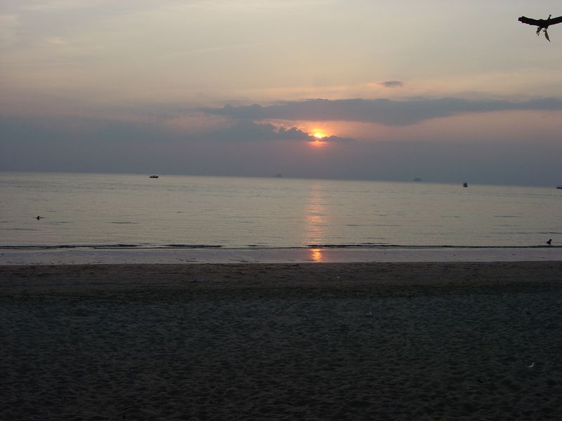 DSC00894.JPG