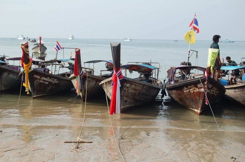 DSC_6645.JPG