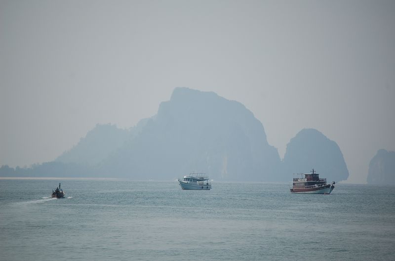 DSC_6650.JPG