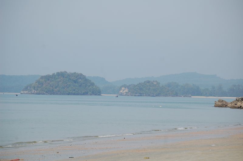 DSC_6651.JPG