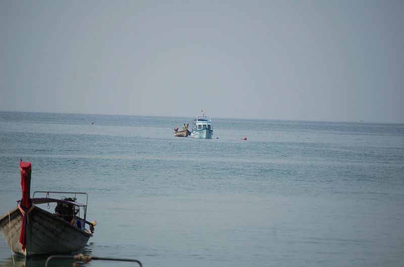 DSC_6658.JPG