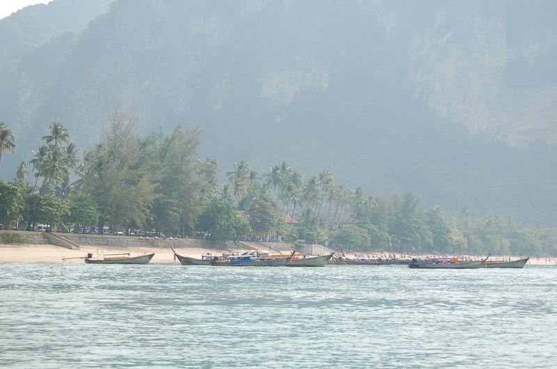 DSC_6668.JPG