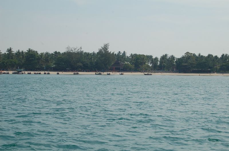 DSC_6732.JPG