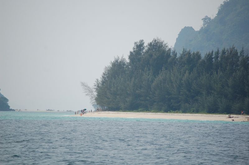 DSC_6768.JPG