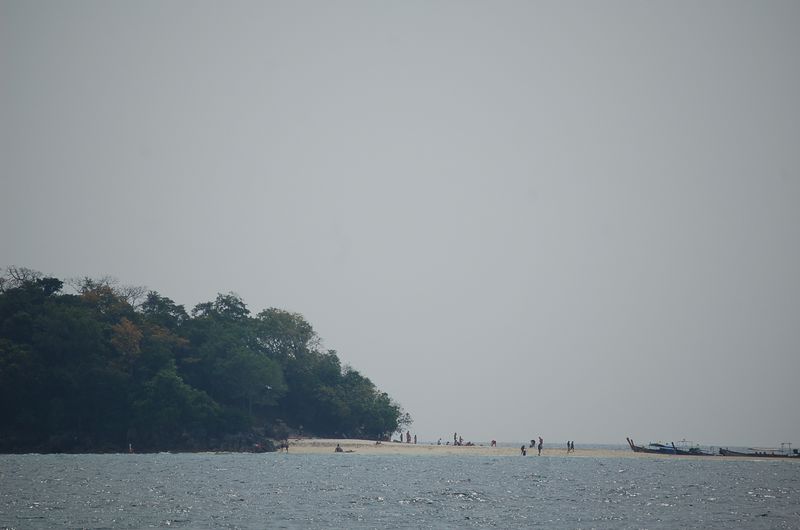 DSC_6806.JPG