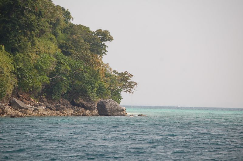 DSC_6808.JPG