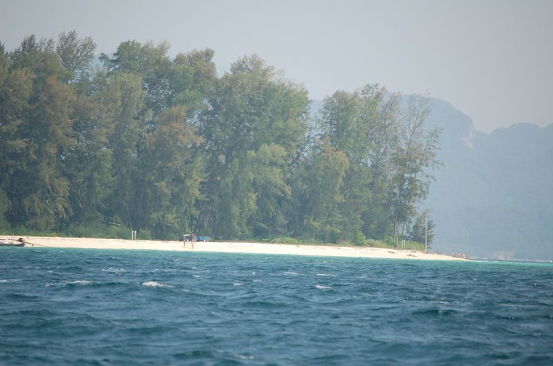 DSC_6811.JPG