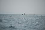 DSC_6813.JPG