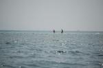 DSC_6815.JPG