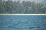 DSC_6817.JPG