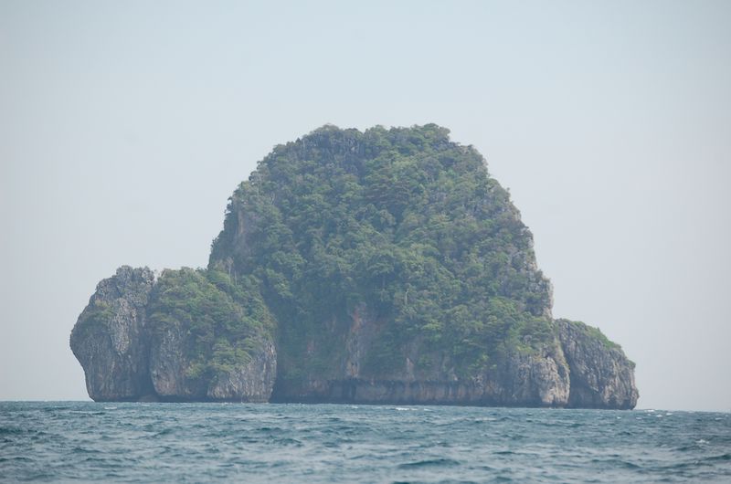 DSC_6833.JPG