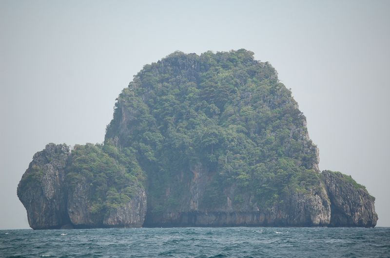 DSC_6834.JPG