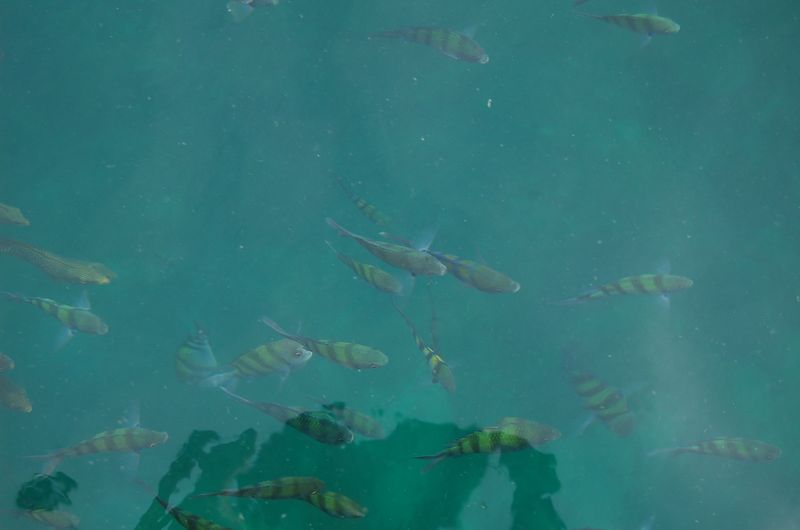 DSC_6851.JPG