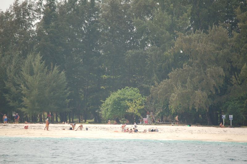 DSC_6770_001.JPG