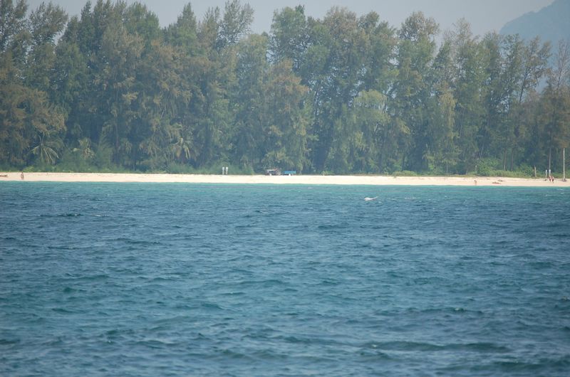 DSC_6817_001.JPG