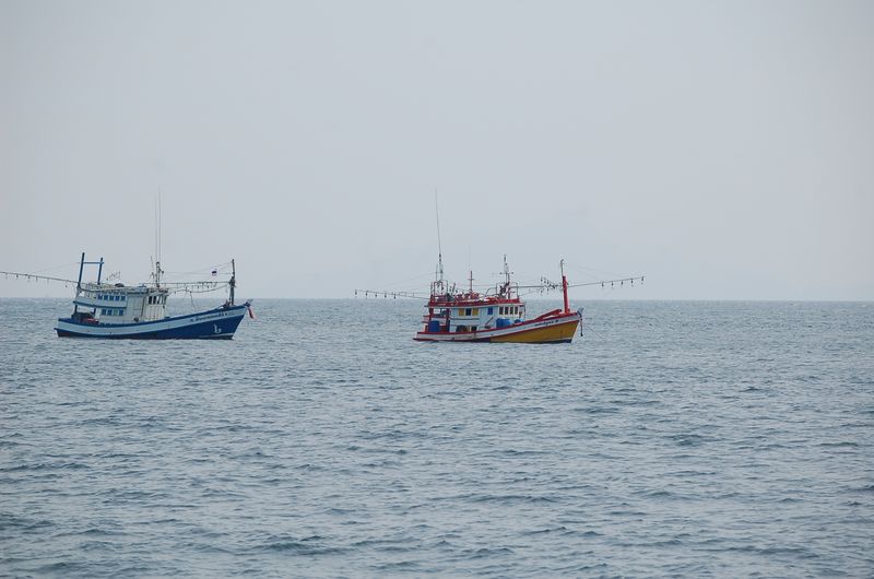 DSC_6819_001.JPG