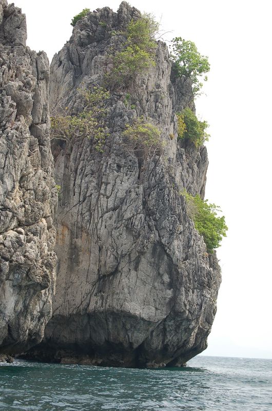 DSC_6845_001.JPG