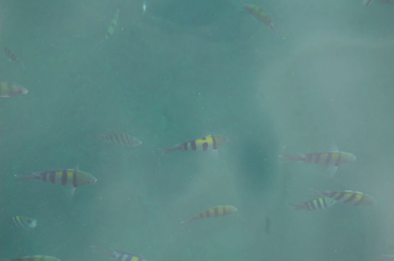 DSC_6864.JPG