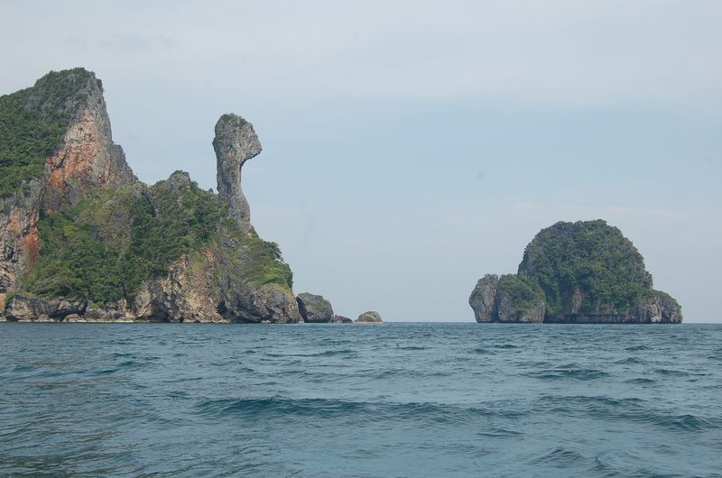 DSC_6878.JPG