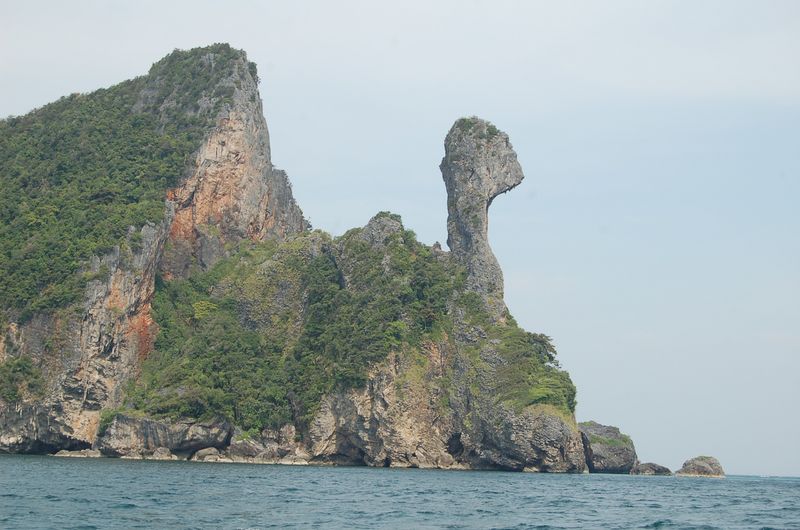 DSC_6882.JPG