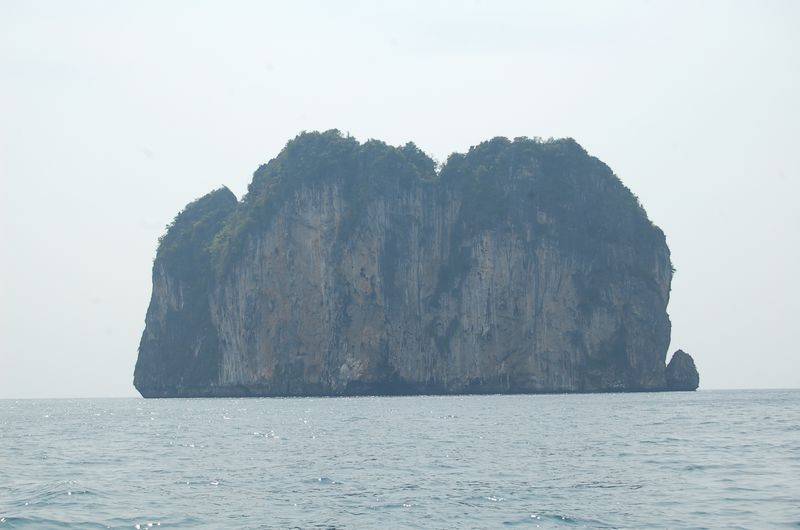 DSC_6884.JPG