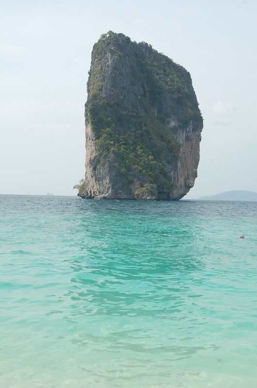 DSC_6890.JPG