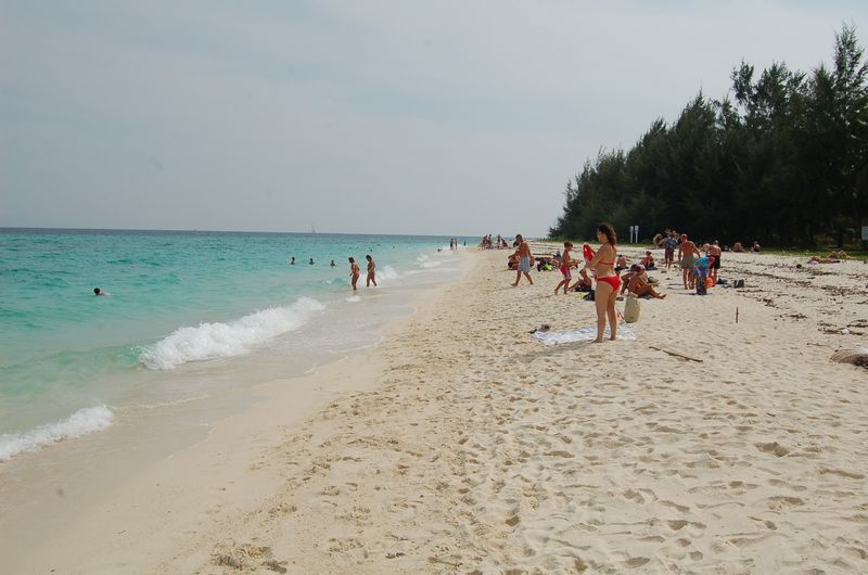 DSC_6893.JPG