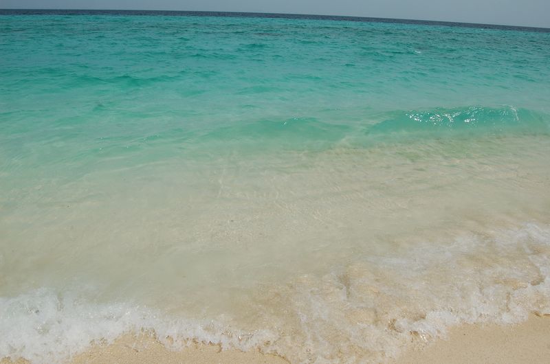 DSC_6937.JPG