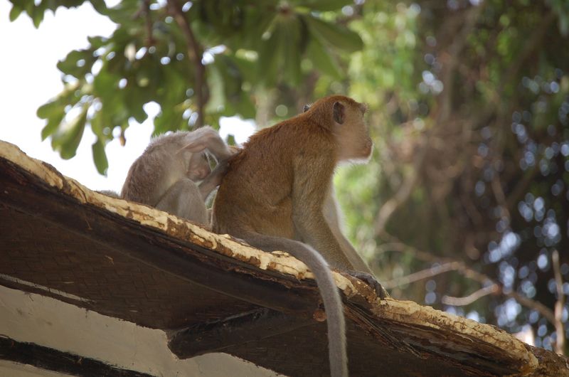 DSC_7048.JPG