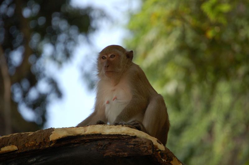 DSC_7051.JPG