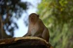 DSC_7051.JPG