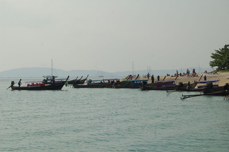 DSC_7098.JPG