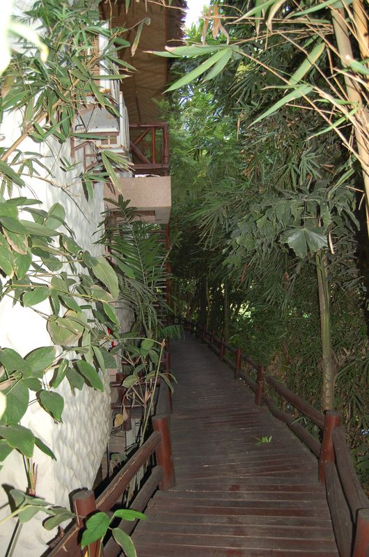 DSC_7196.JPG