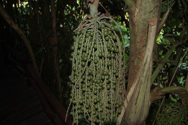 DSC_7197.JPG