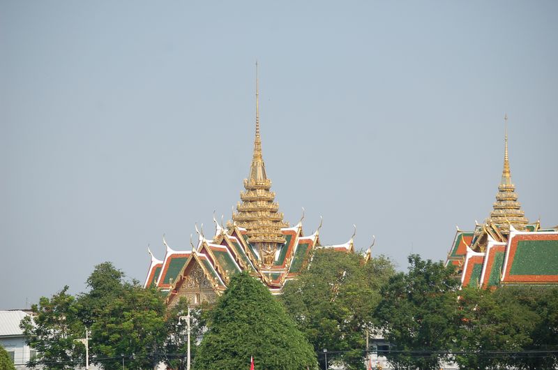 DSC_3084.JPG
