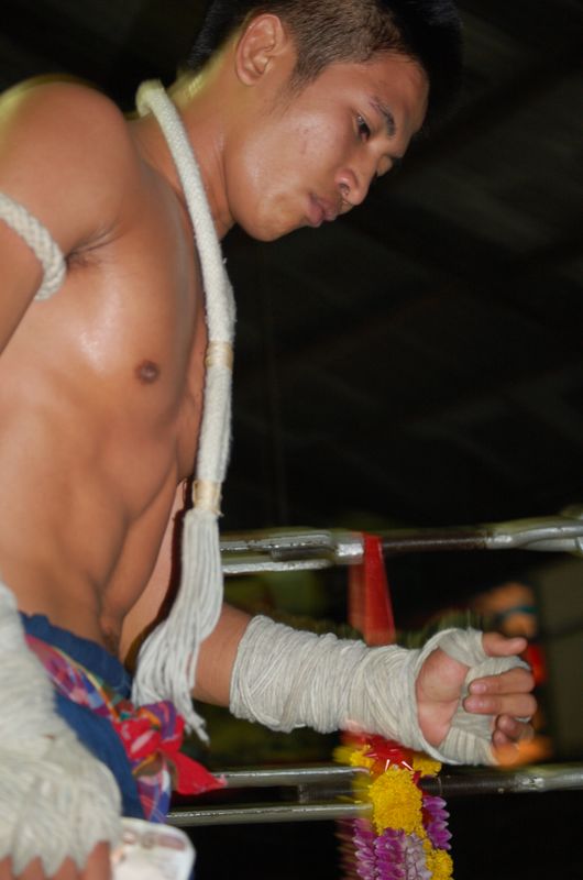 DSC_3351.JPG