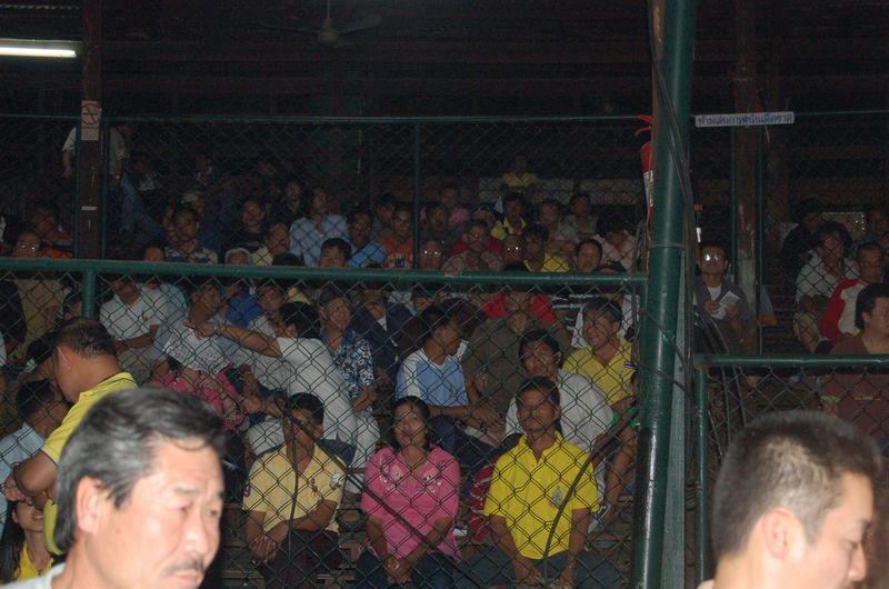 DSC_3352.JPG