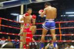DSC_3360.JPG