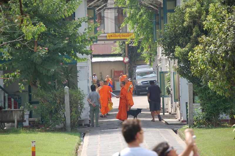 DSC_3762.JPG