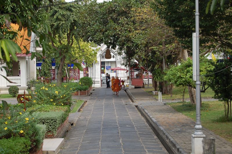 DSC_3775.JPG