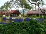DSC00942.JPG