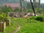 DSC00944.JPG