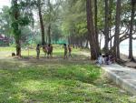 DSC00948.JPG
