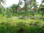 DSC00950.JPG