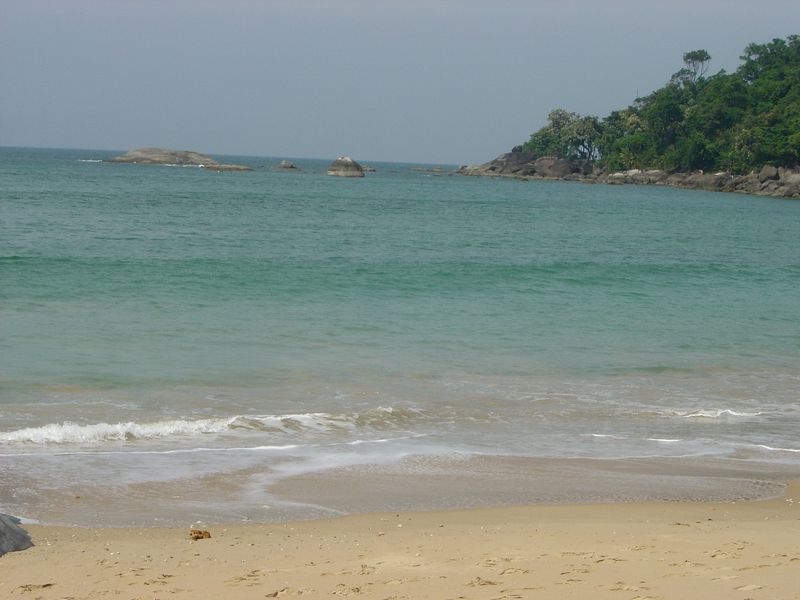 DSC00971.JPG