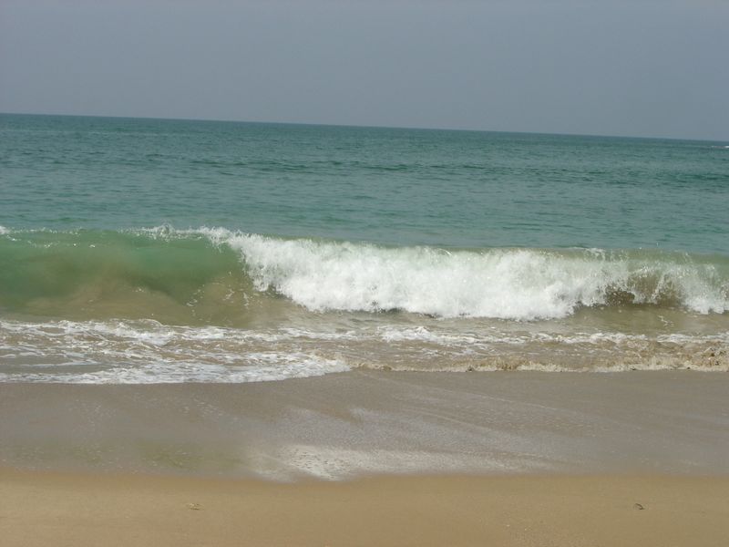 DSC00972.JPG