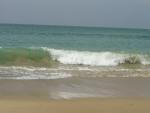 DSC00972.JPG