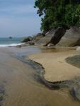 DSC00981.JPG